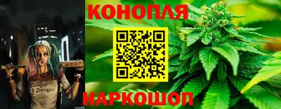 стафф Старая Купавна
