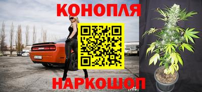 стафф Старая Купавна