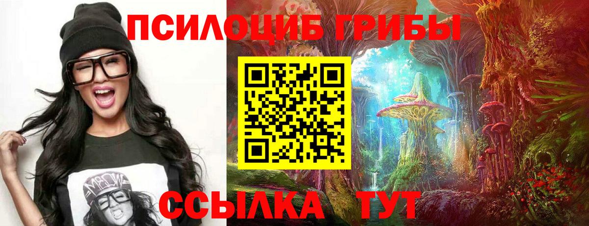 Галлюциногенные грибы прущие грибы  Вход с VPN  сколько стоит  Новый Уренгой 